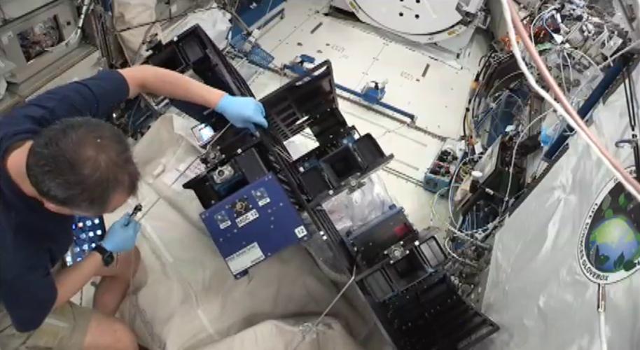 Pills being loaded into a MISSE carrier on board the ISS. Photo NASA