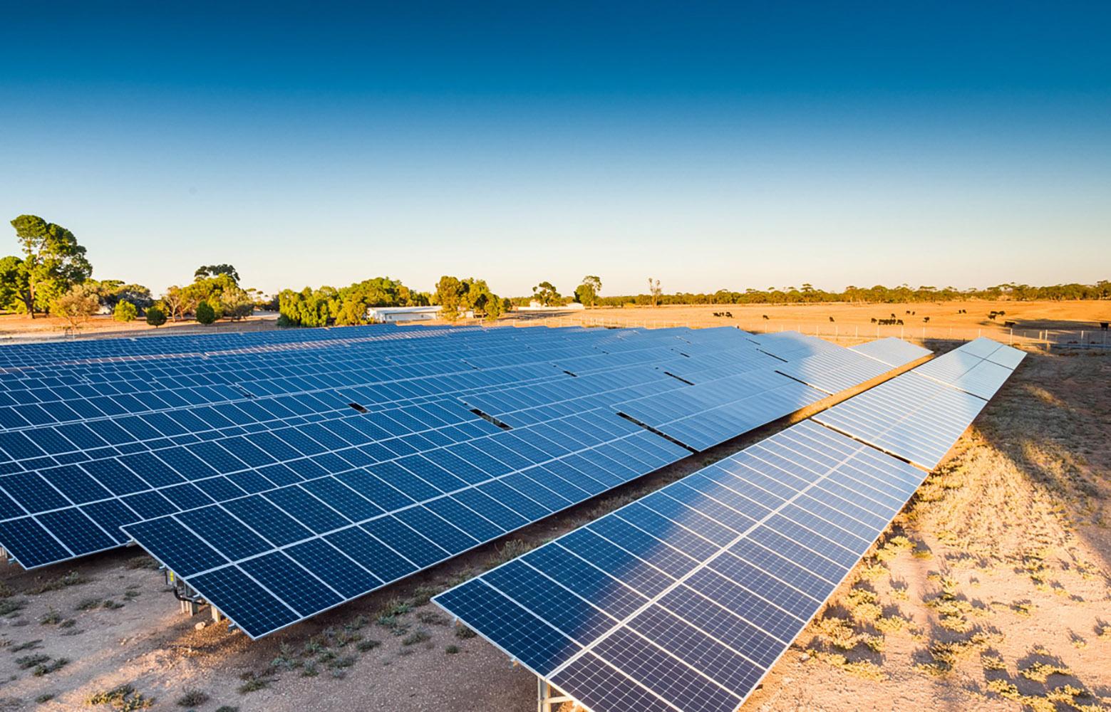 Roseworthy solar farm