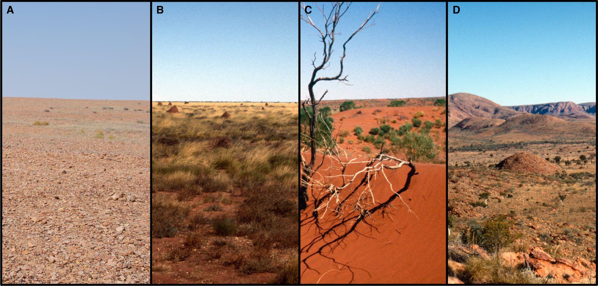 Western Desert habitats 