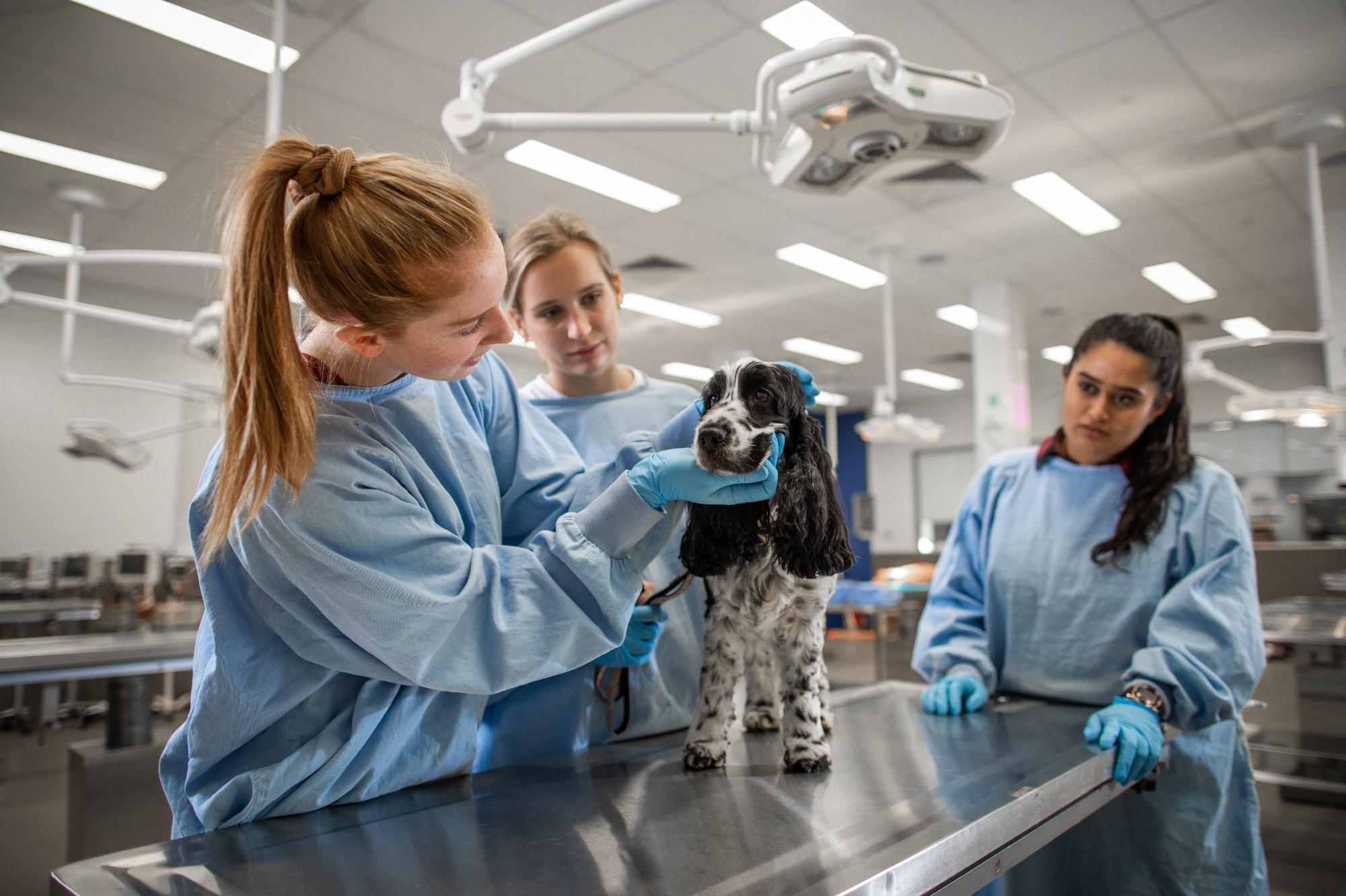Future vets in training