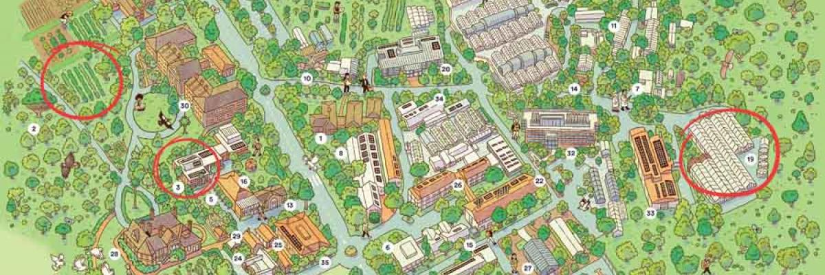 An illustrated map of the Waite Campus