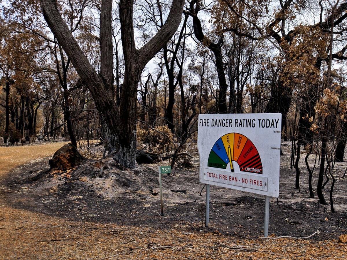 Bushfire