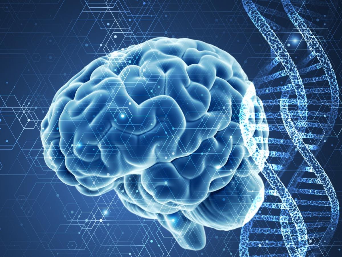Illustration of brain and DNA 