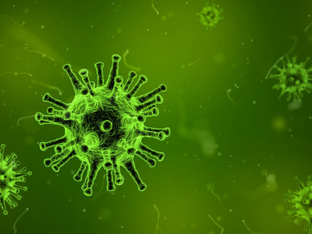 An image of a virus