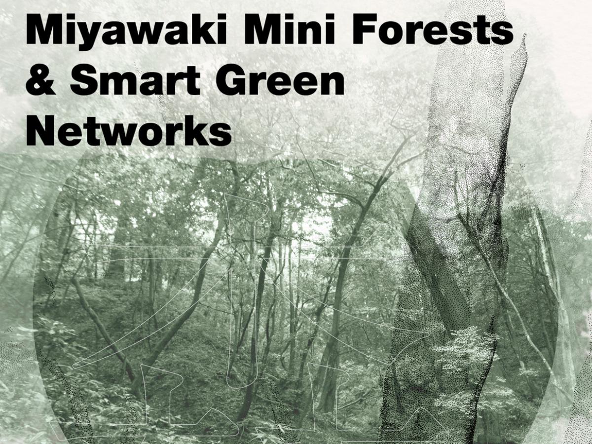 Miyawaki Mini Forests & Smart Green Networks 