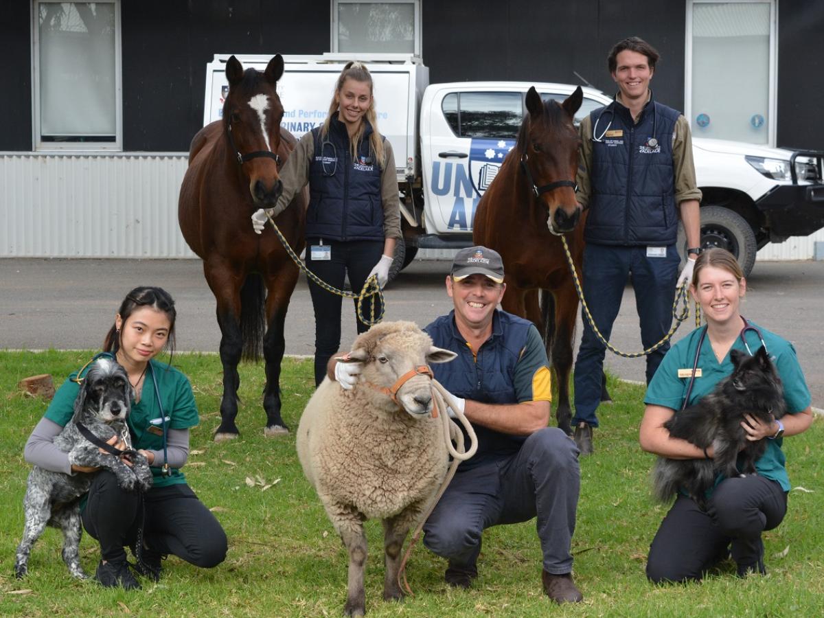 University of Adelaide's Equine and Production Animal Health Centre students and staff pose with dogs, horses, and a sheep.