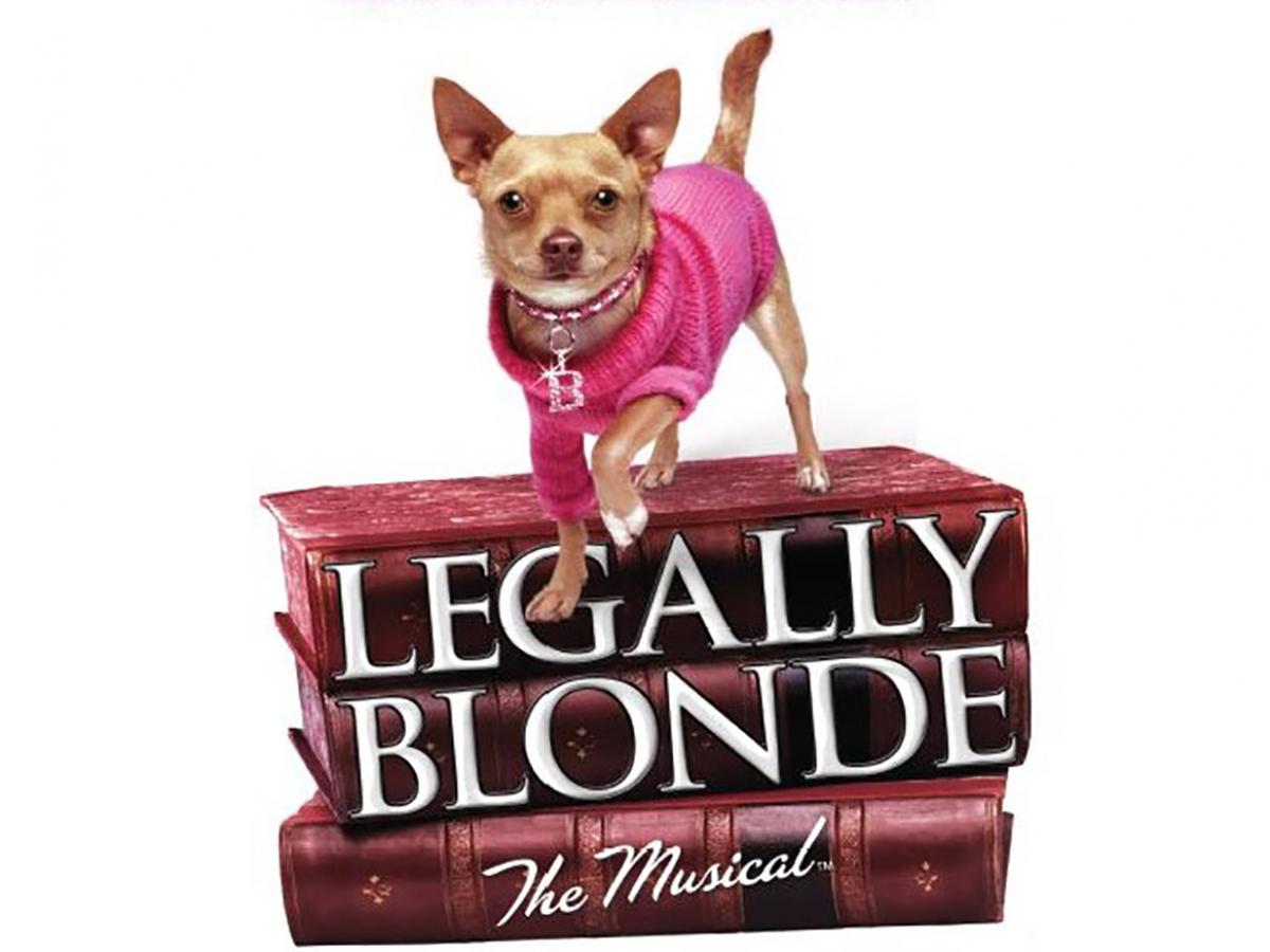 Legally Blonde the Musical - dog auditions
