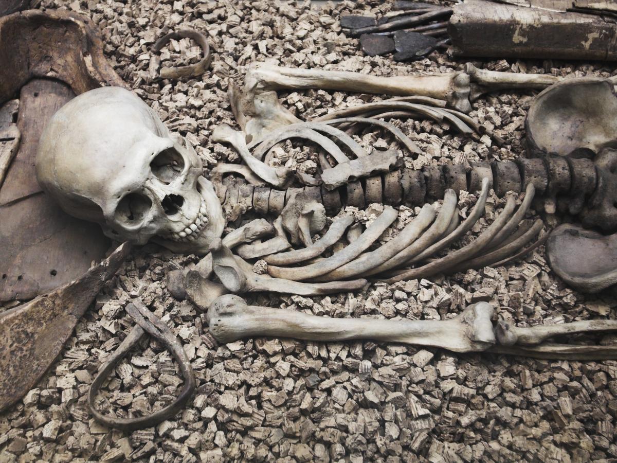 Ancient genomes reveal hidden history of human adaptation