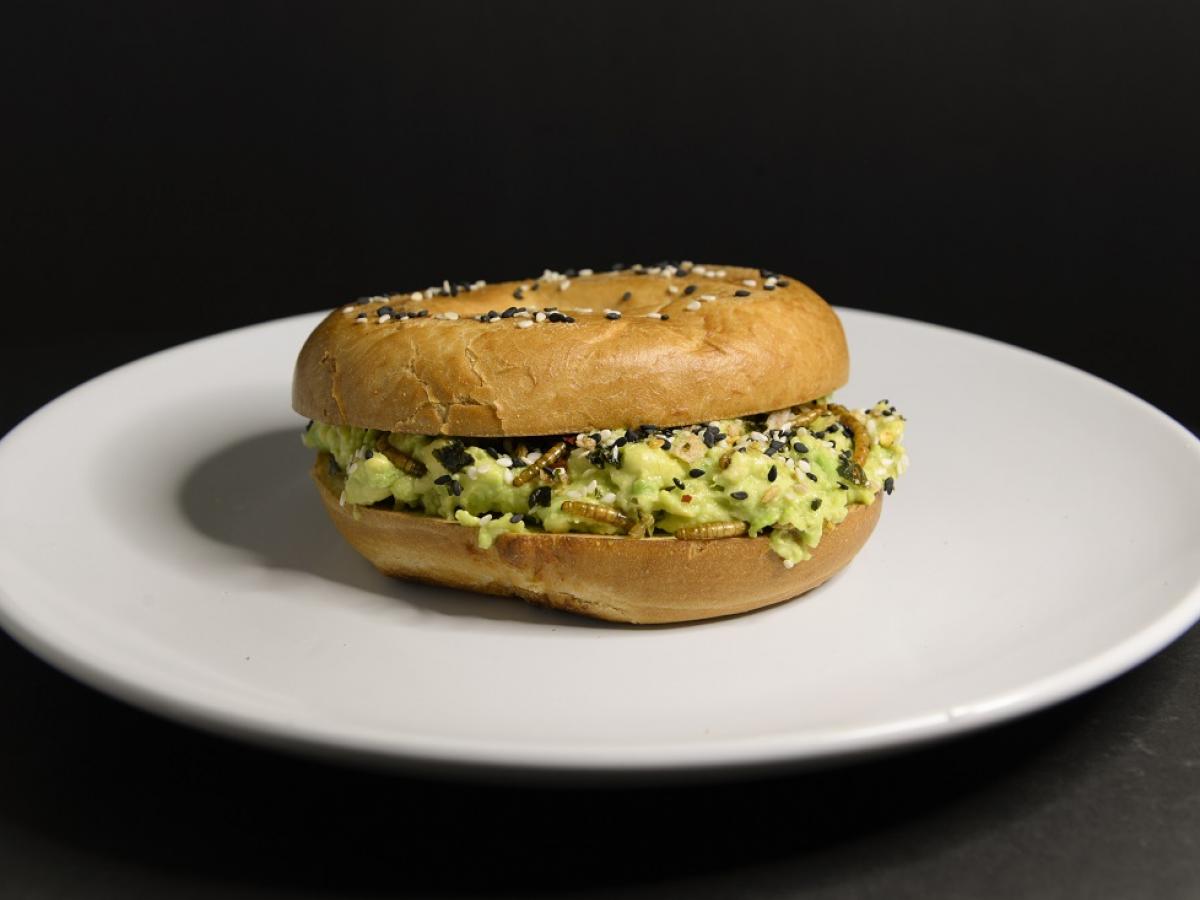 Smashed avo bagel with mealworm furikake