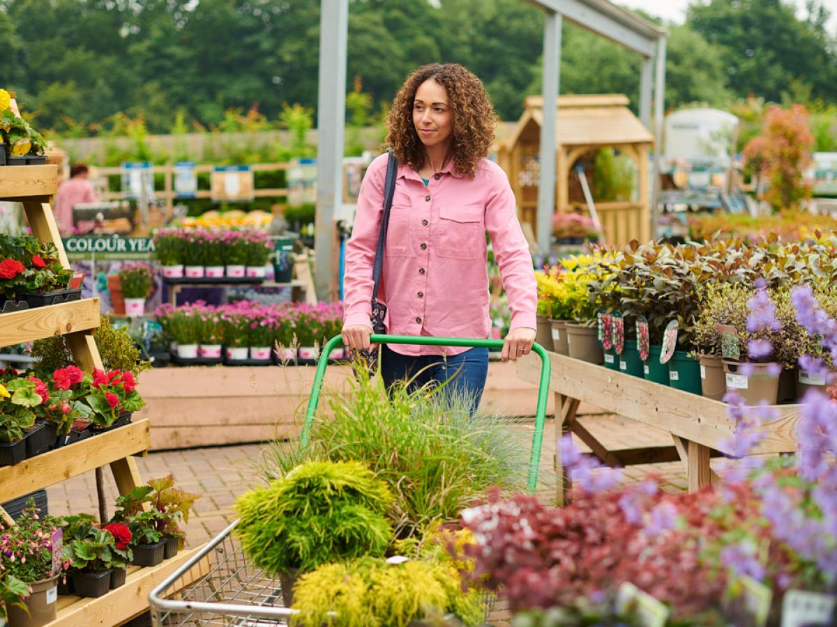 Garden Centre Shopper credit Sturti