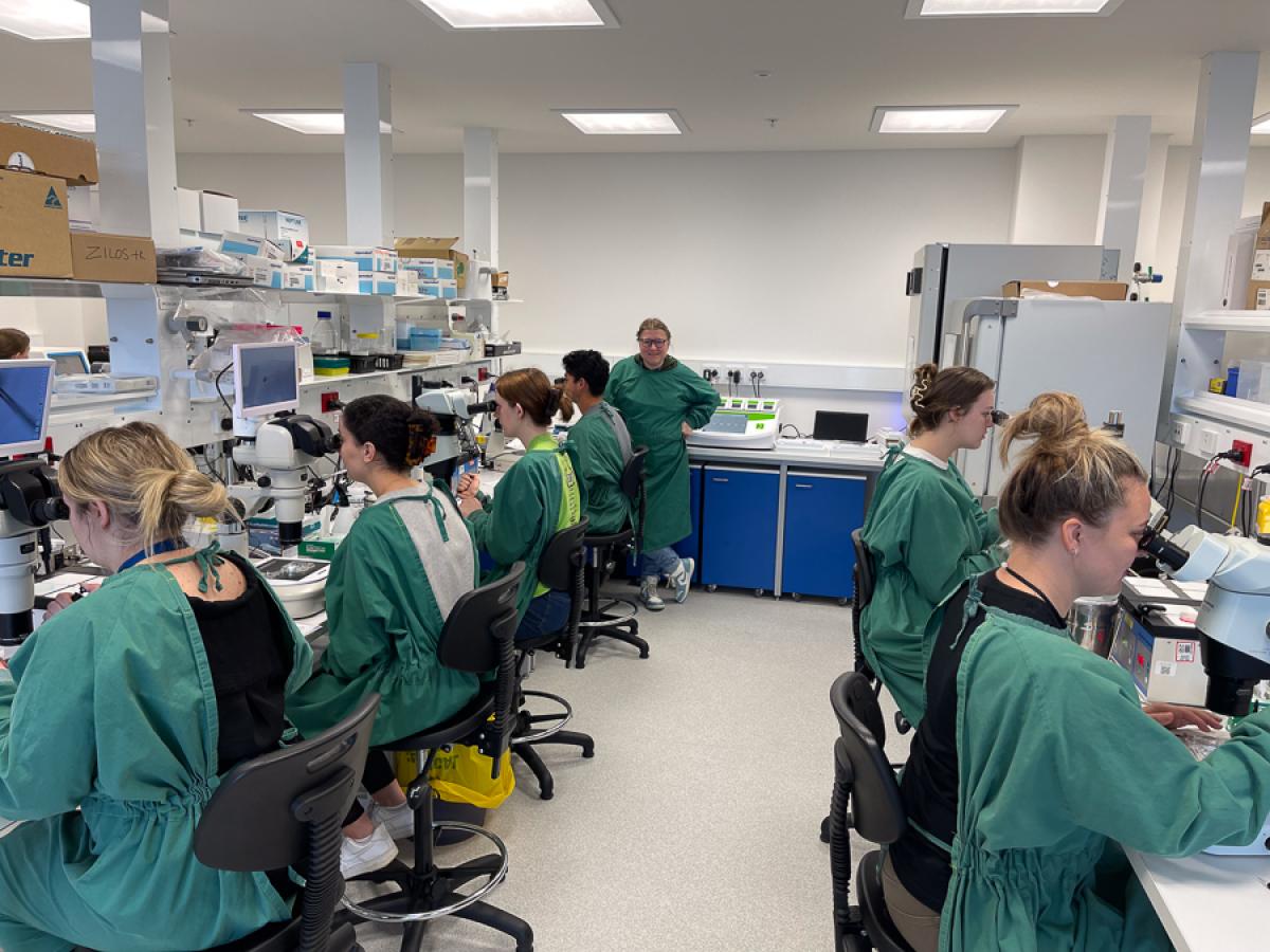 Students studying in a lab