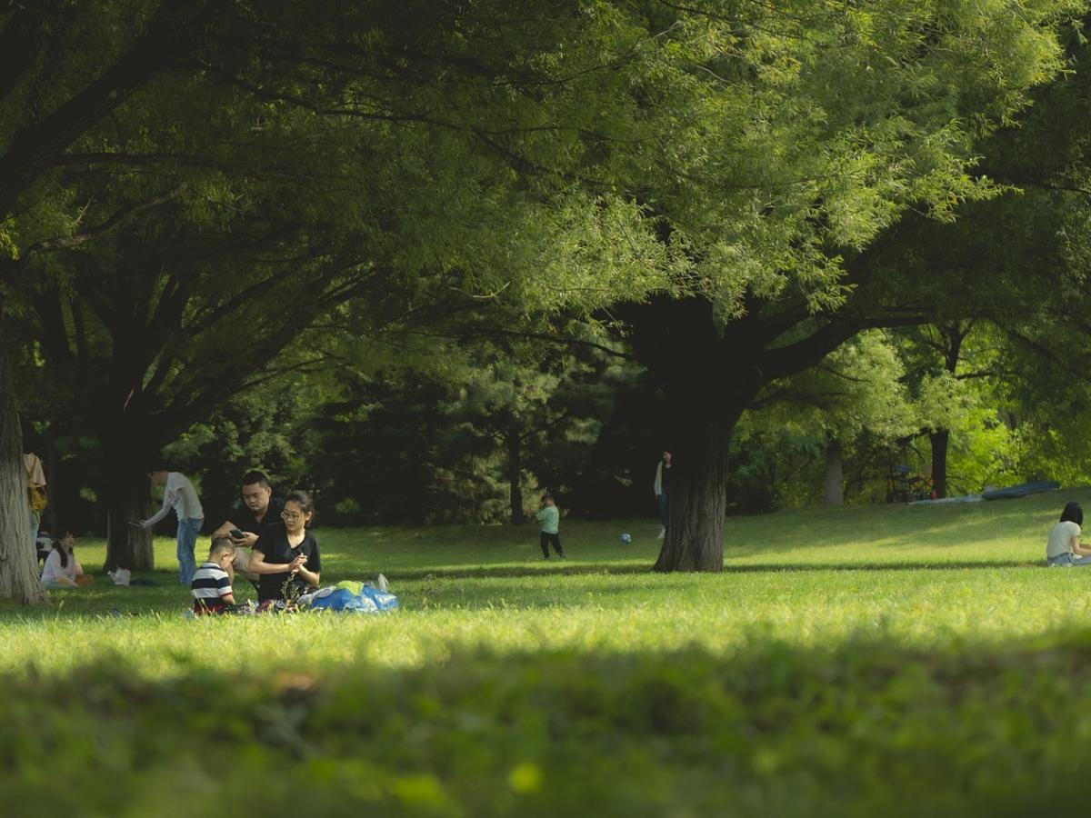 park health