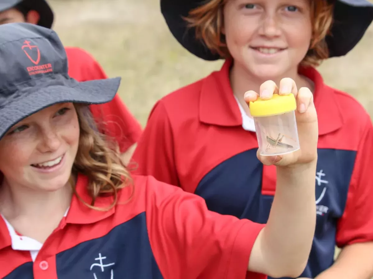 Students from Encounter Lutheran College Interacting With Insects