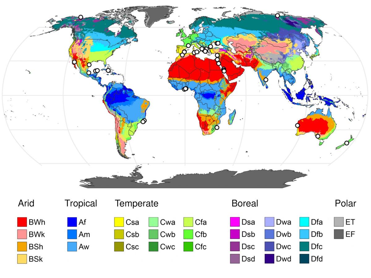 A global map of representative coastal lagoons with salinity above seawater. Background colours depict the Köppen-Geiger climate classification between 1991 and 2020