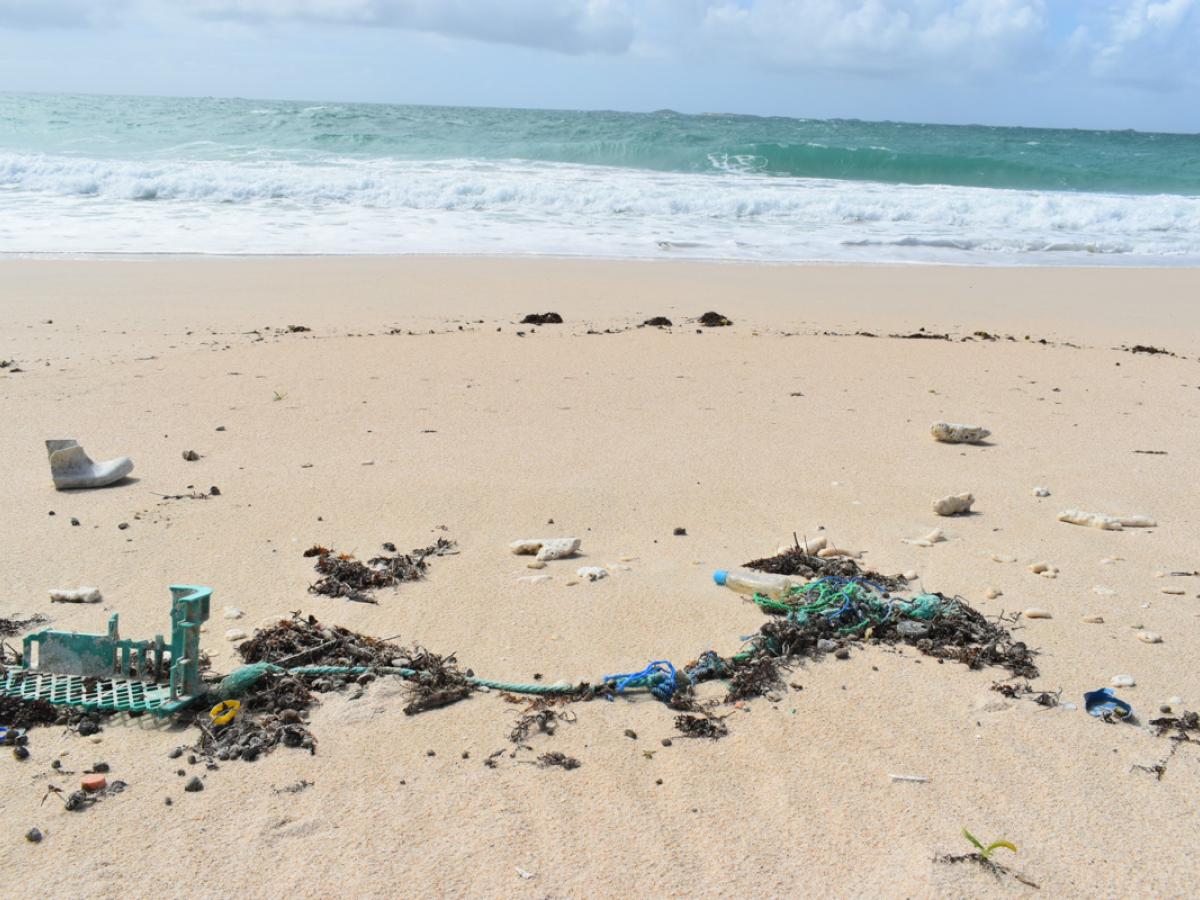Plastic washed ashore on a beach credit Nina Wootton