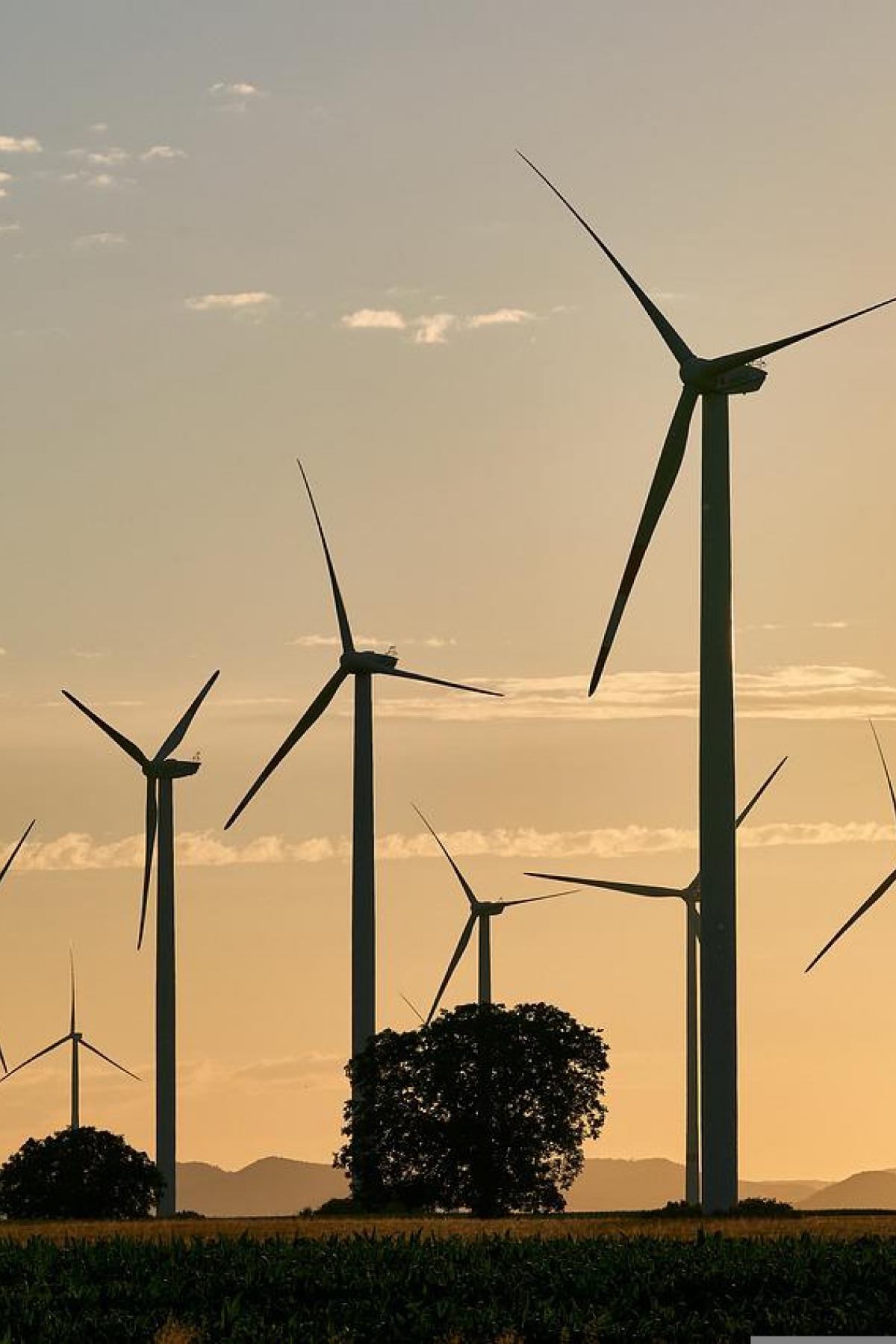 A wind farm with trees and clouds in the background