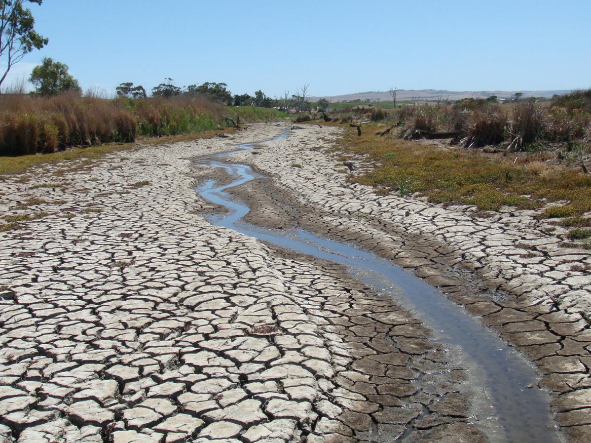 Dried and cracked soils 