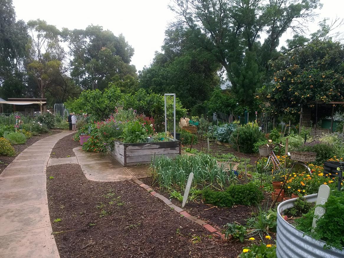 Fern Avenue Community Garden