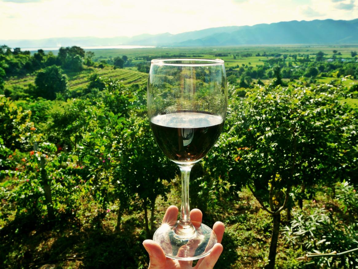 Wine glass in front of vineyards
