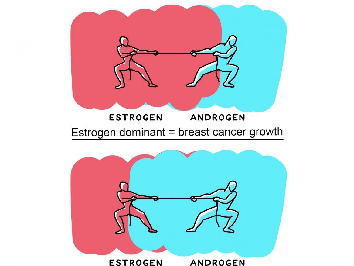 breast cancer research diagram