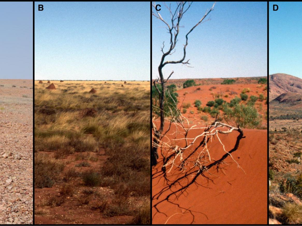 Western Desert habitats 