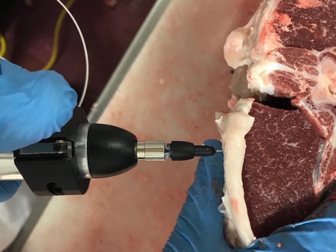 Scanning meat using needle
