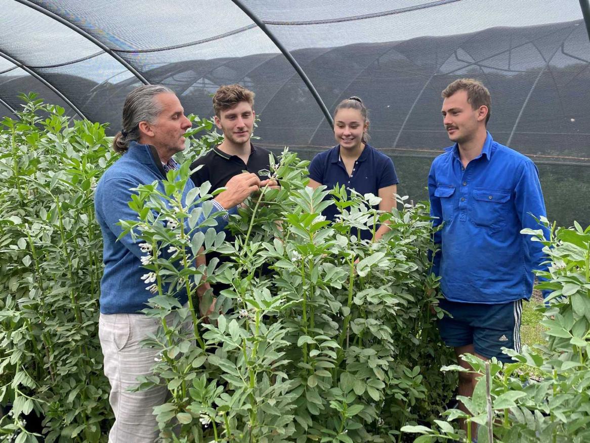 Jason Able with students in faba bean crops