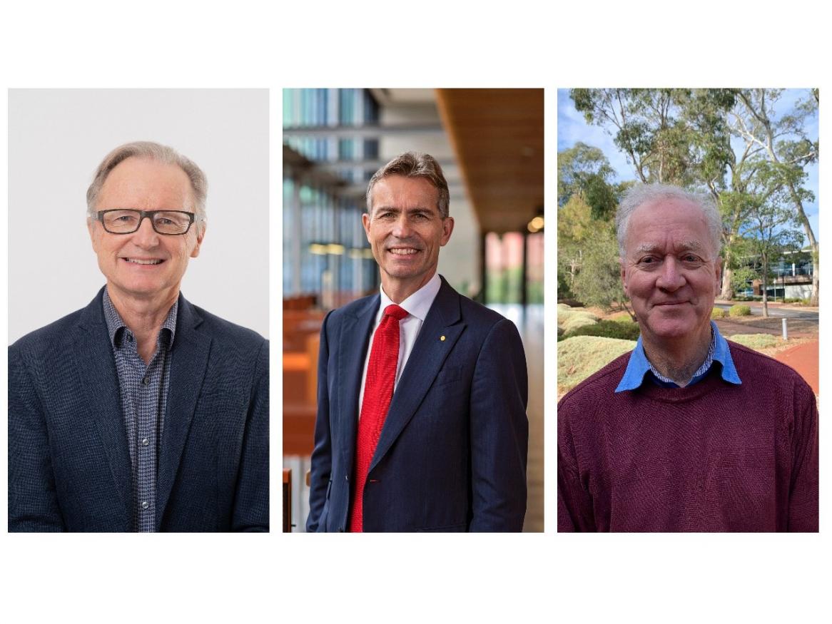 2022 University of Adelaide Fellows of the AAS