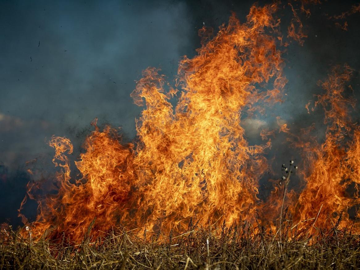 A bushfire burns through vegetation, with dark smoke above.