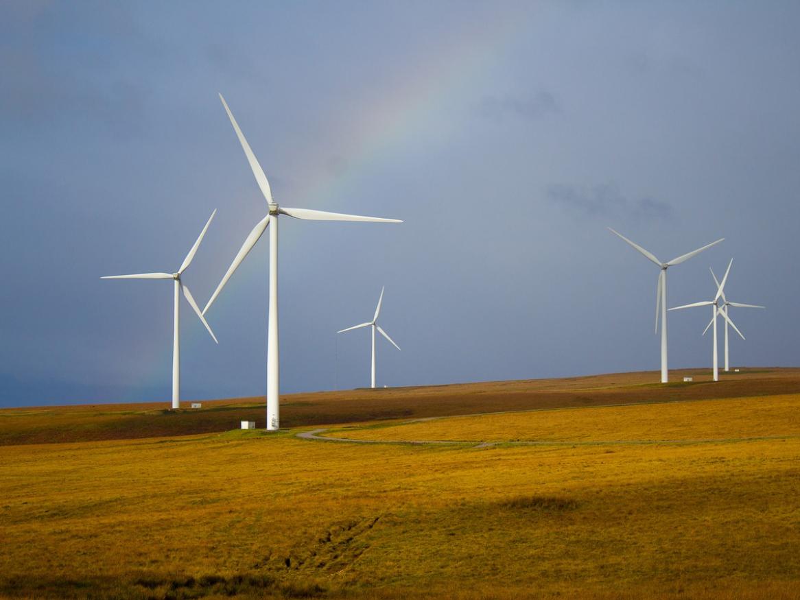 A wind farm with a rainbow in the sky above.