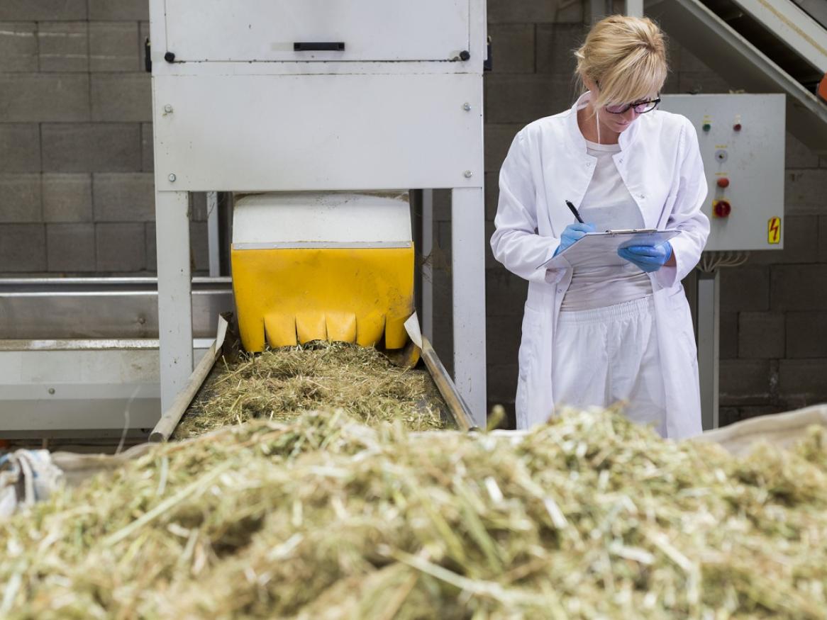 A researcher stands next to industrial hemp concrete.