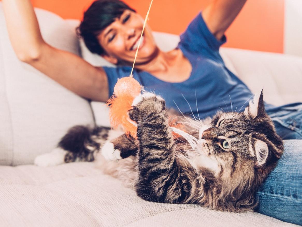 A cat guardian smiles while playing with her cat on the couch.