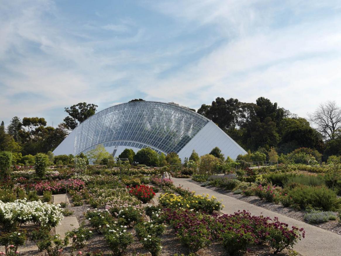 Behind the Scenes in Adelaide Botanic Garden