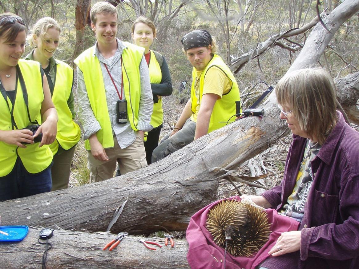 Citizen scientists taking part in the EchidnaCSI program on Kangaroo Island