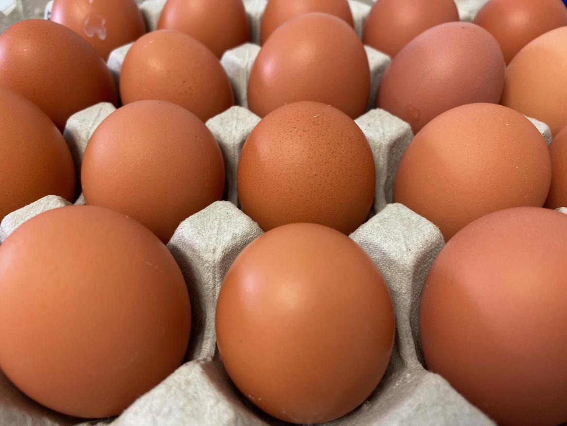 Photo of eggs in a carton