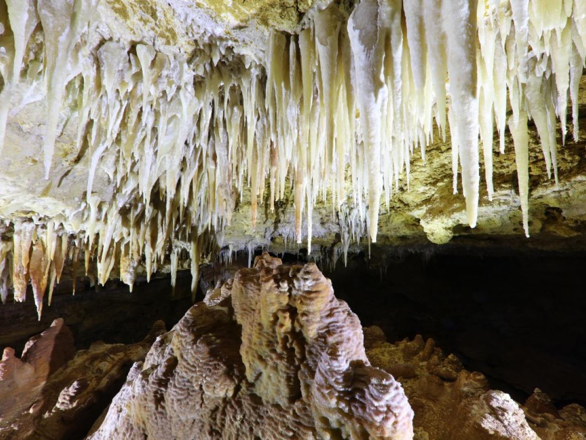 Naracoorte Cave stalactites reveal climate secrets from the ice ages 