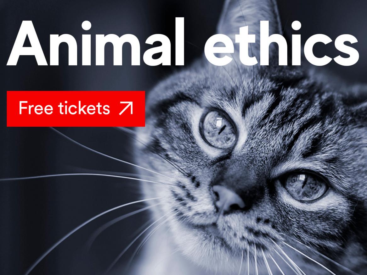 Animal Ethics