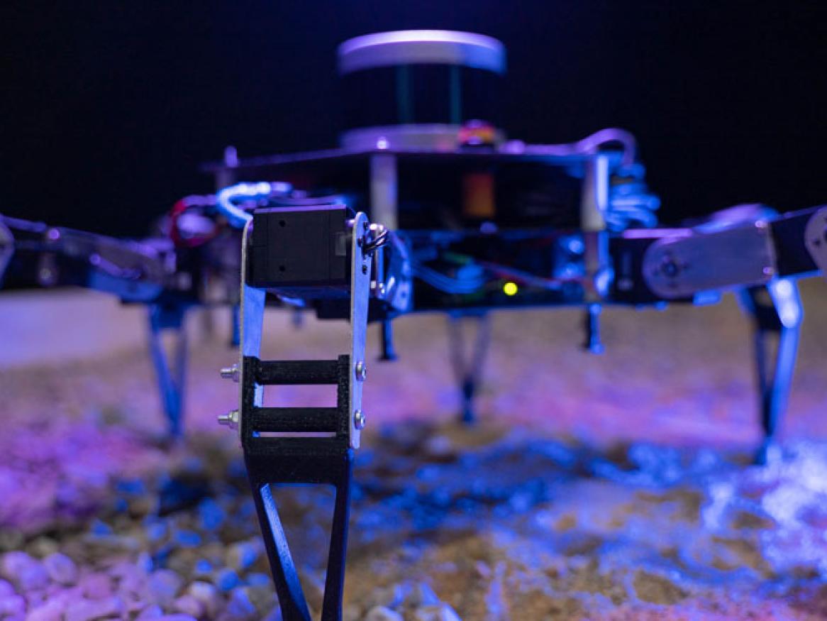 Cavex Robot in a sandpit