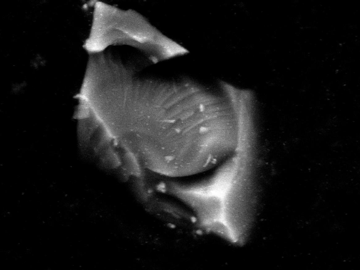 Microscopic image of an engineered stone dust particle