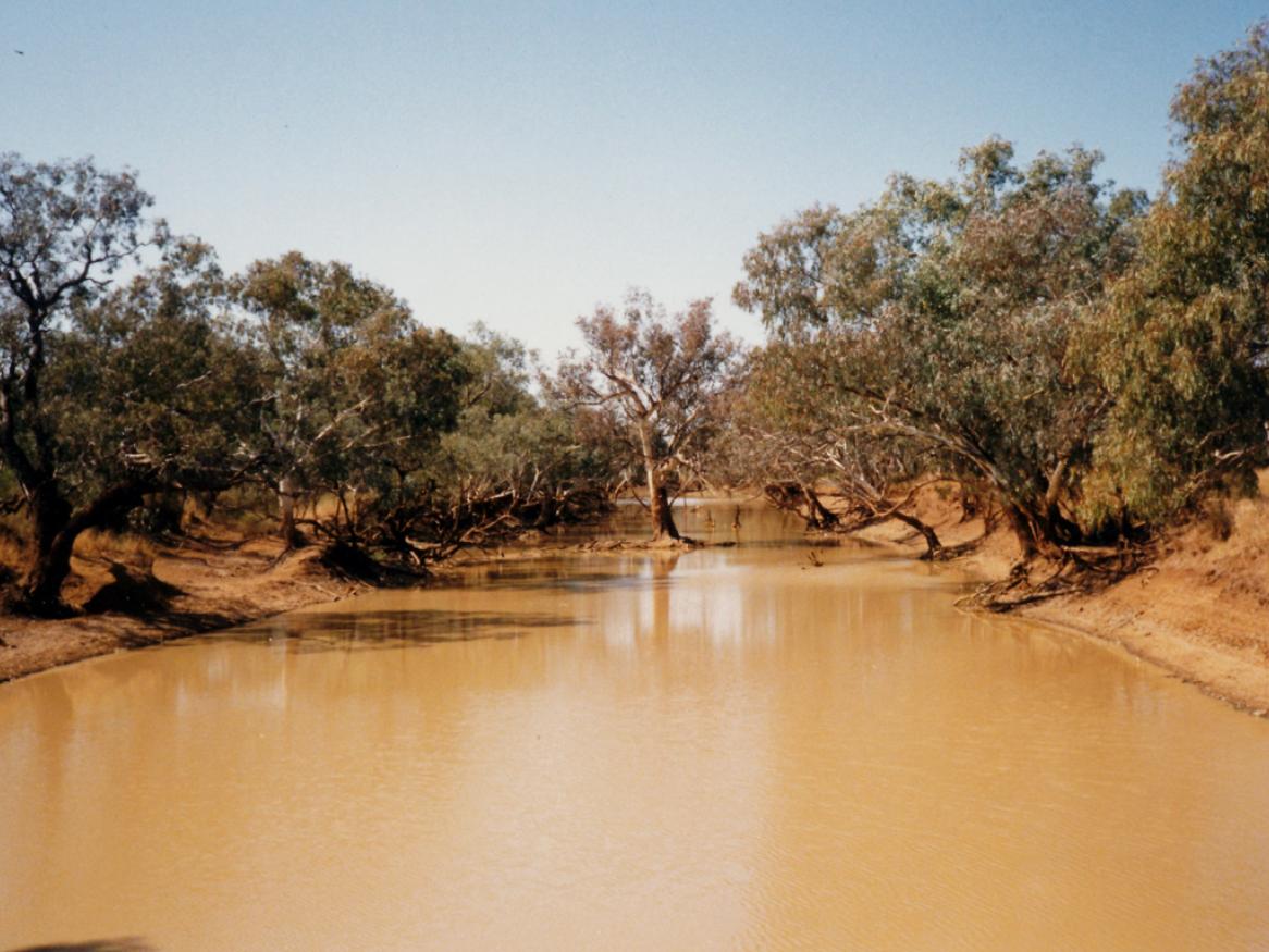 Paroo River at Eulo, Paroo Shire