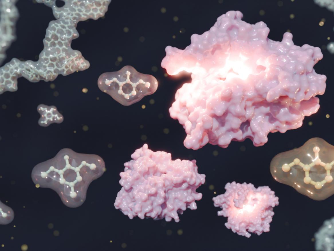 The newly identified enzyme highlighted in pink