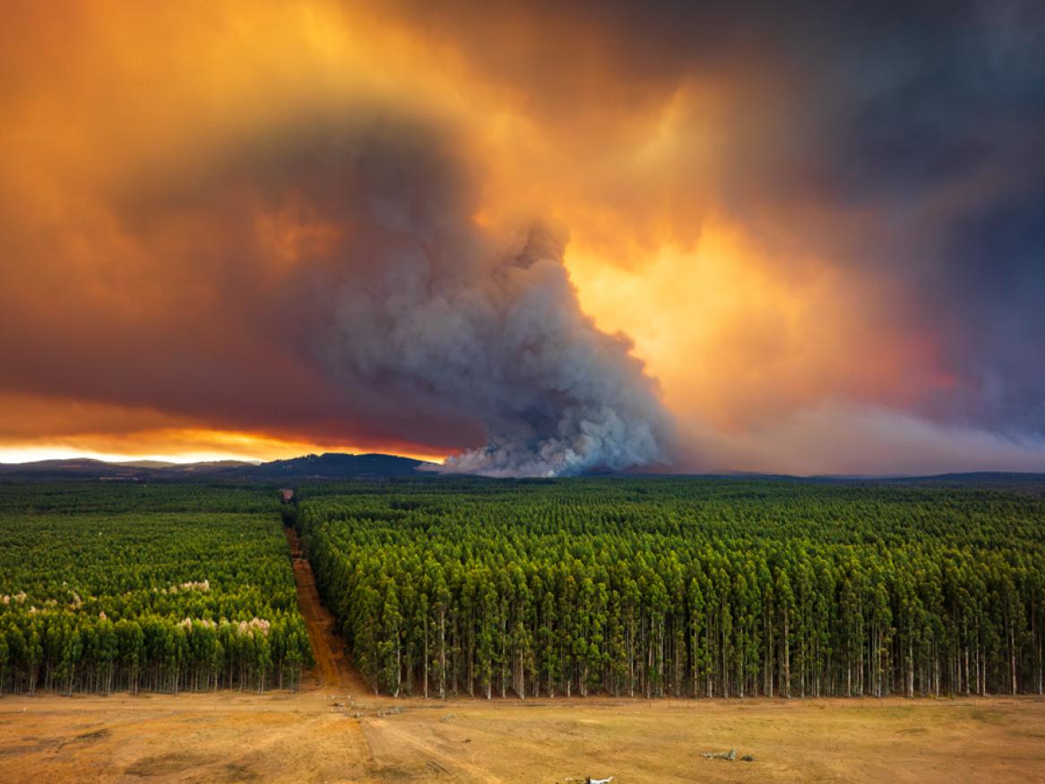 Bushfire south Western Australia credit Philip Thurston