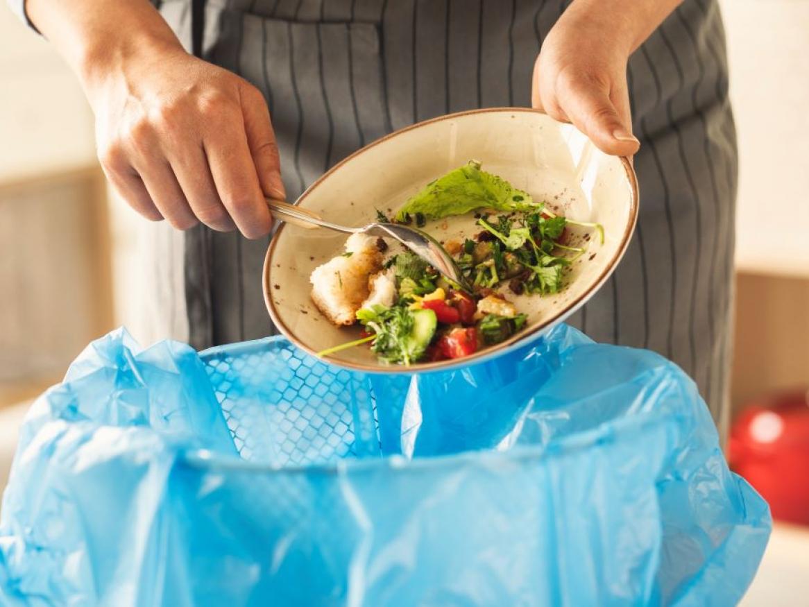 Food waste in hospitals and aged care facilities