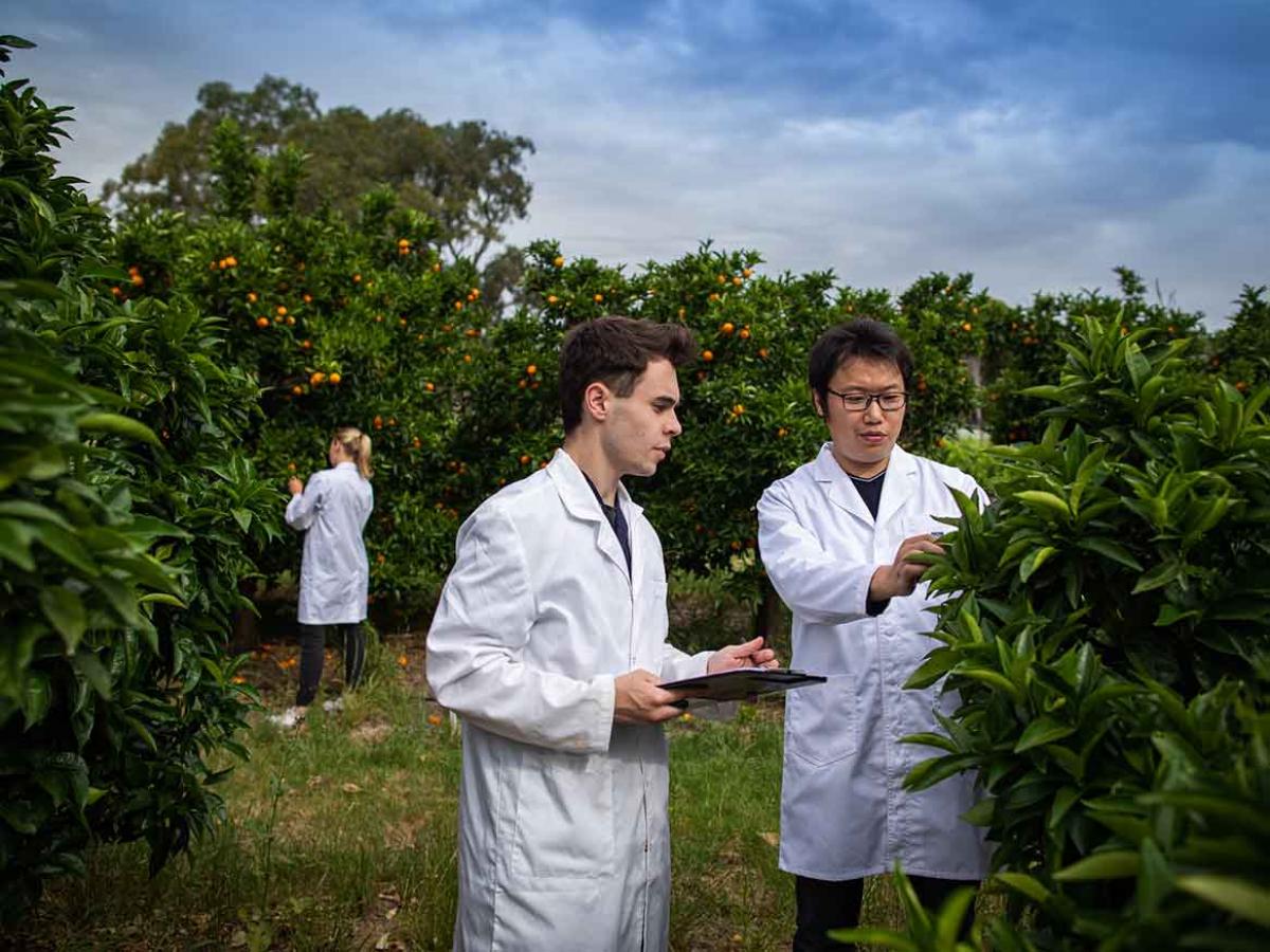 Students outside inspecting plants