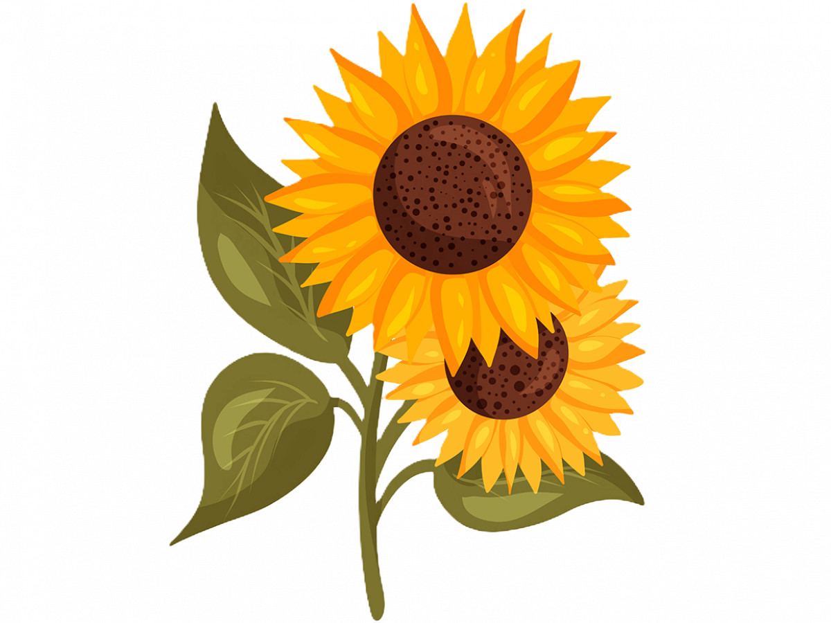 A sunflower representing recognition for neurodiversity