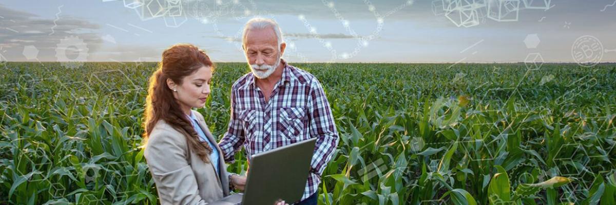 Introduction to Blockchain for Business