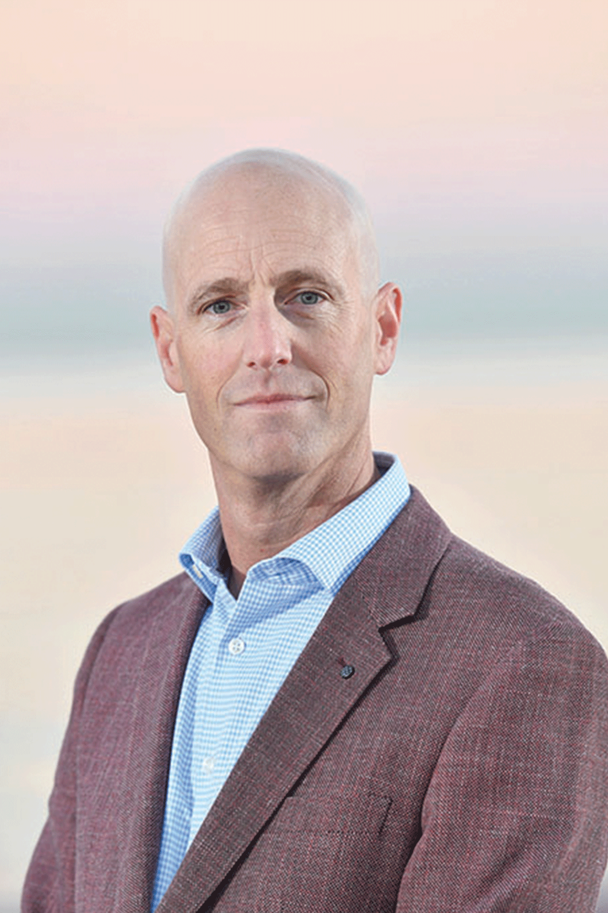 Andrew Stevens