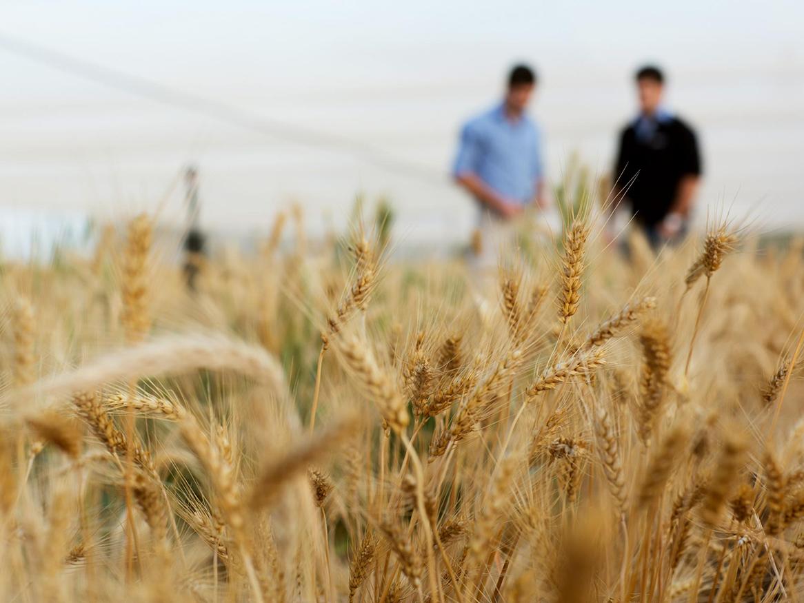 two men standing on a what farm