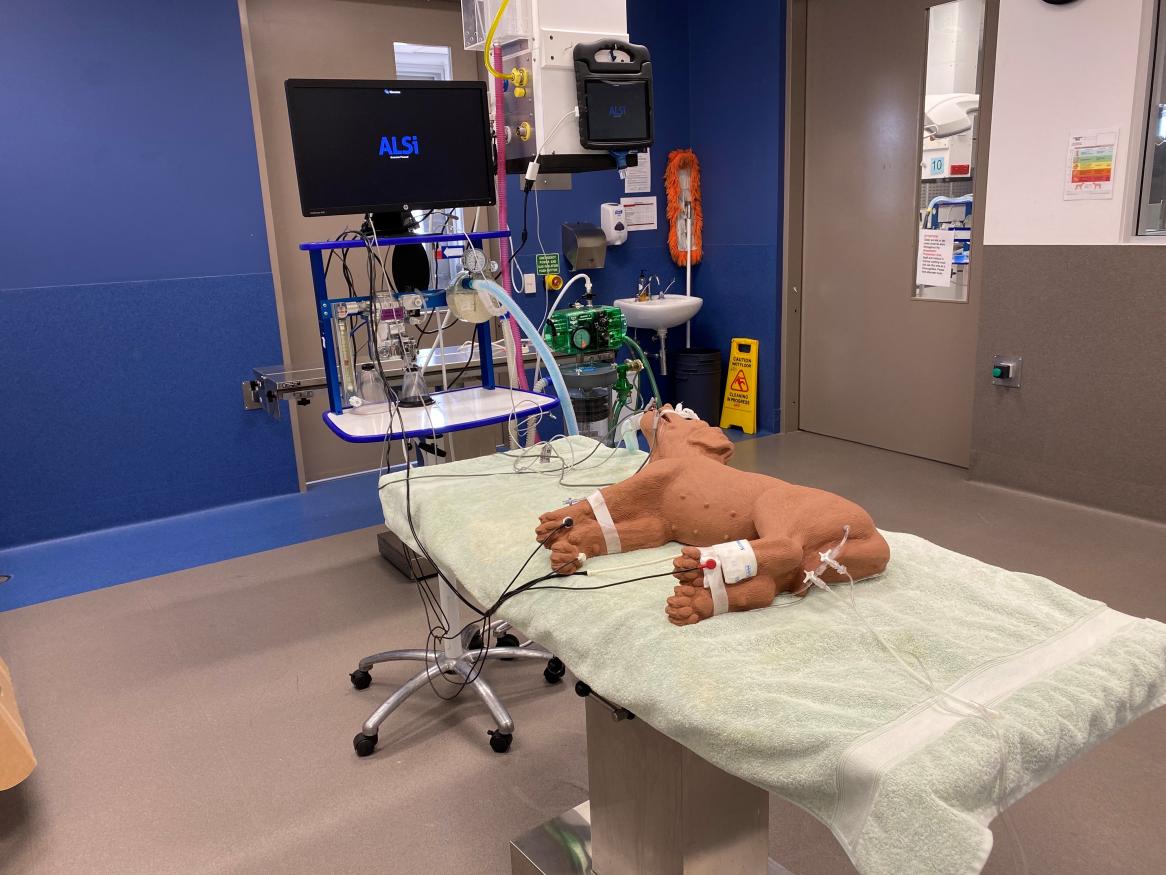 Vet simulation theatre with robotic dog on operating table