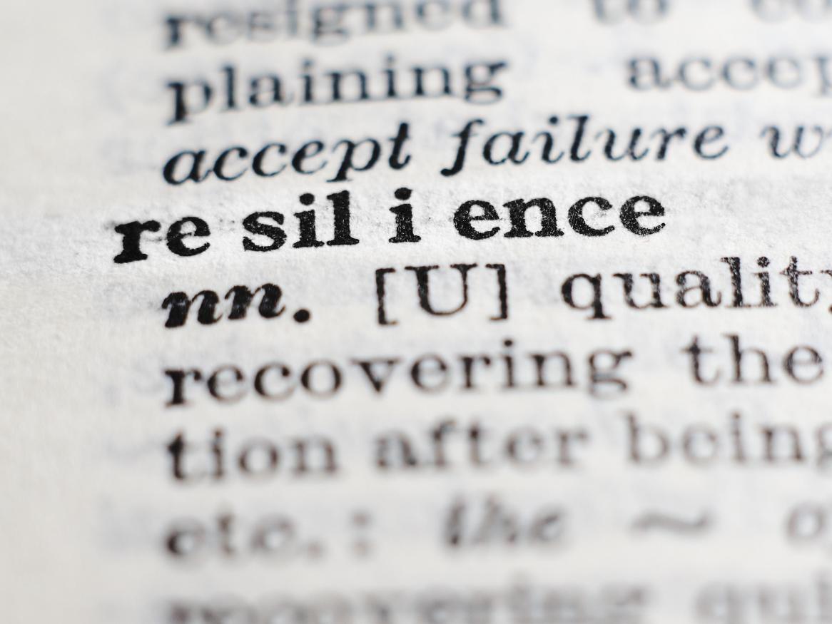The word resilience printed in a book